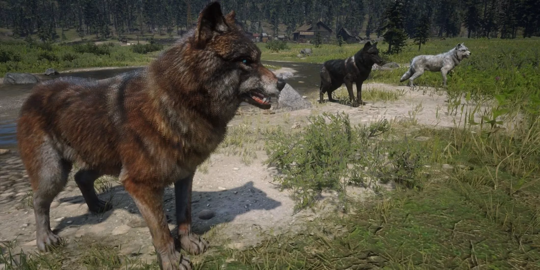 red-dead-redemption-2-s-adorable-secret-rare-wolf-animation-shows-their-gentle-side-image-0