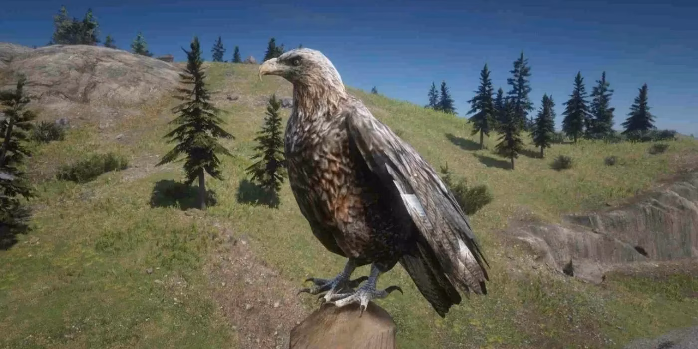 red-dead-redemption-2-s-most-fascinating-animals-a-hunter-s-guide-to-the-wild-west-image-1