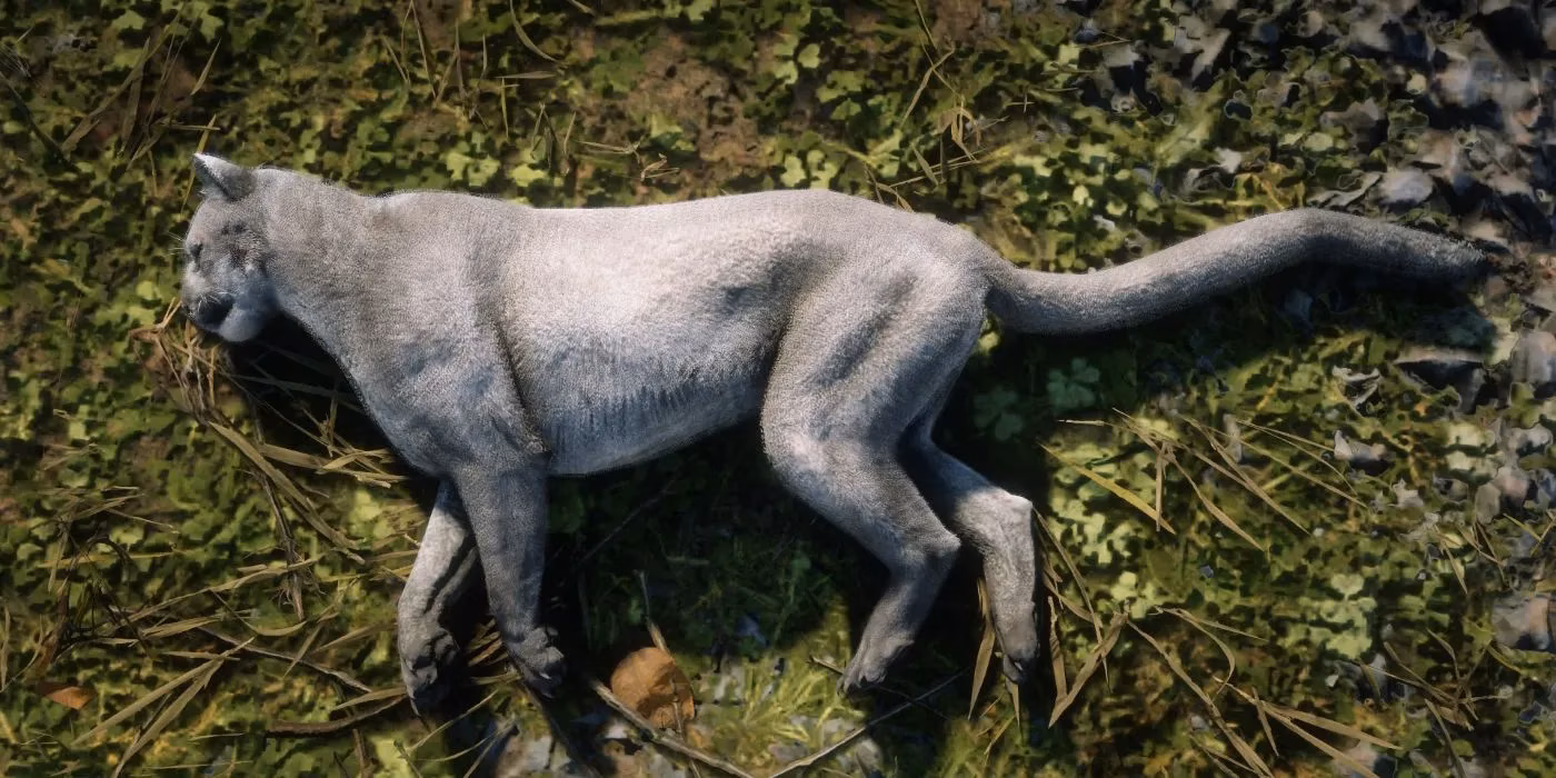 red-dead-redemption-2-s-most-fascinating-animals-a-hunter-s-guide-to-the-wild-west-image-3